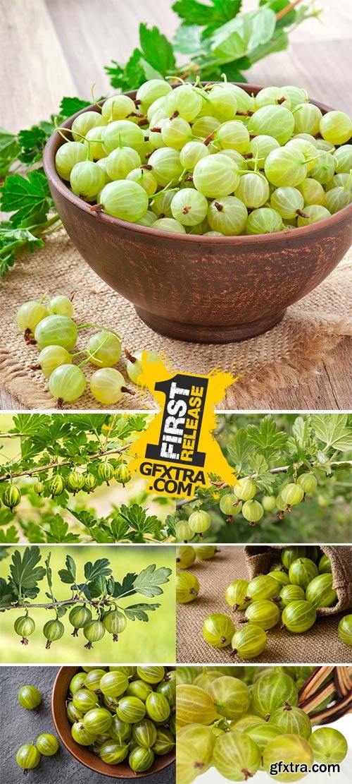 Stock Images - Green gooseberries in a ceramic bowl