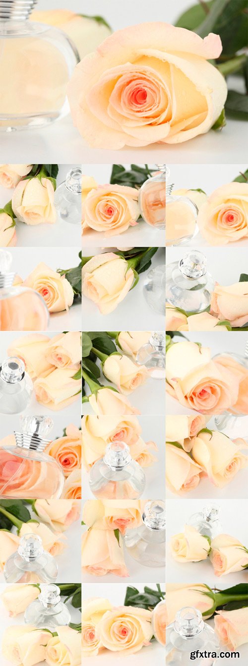 Delicate white roses Aroma