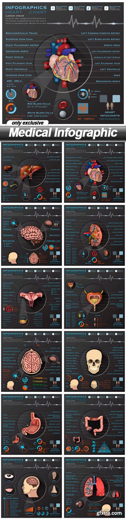 Medical Infographic - 12 EPS