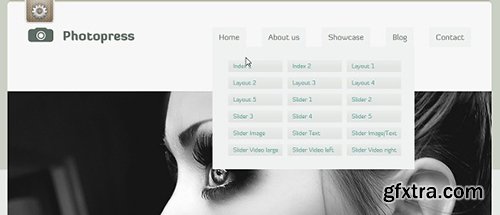 DevelopGo - PhotoArt Photography Template