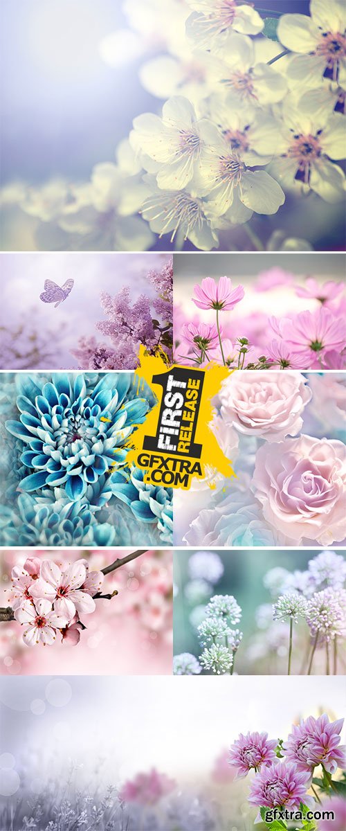 Stock Images - Beautiful flowers