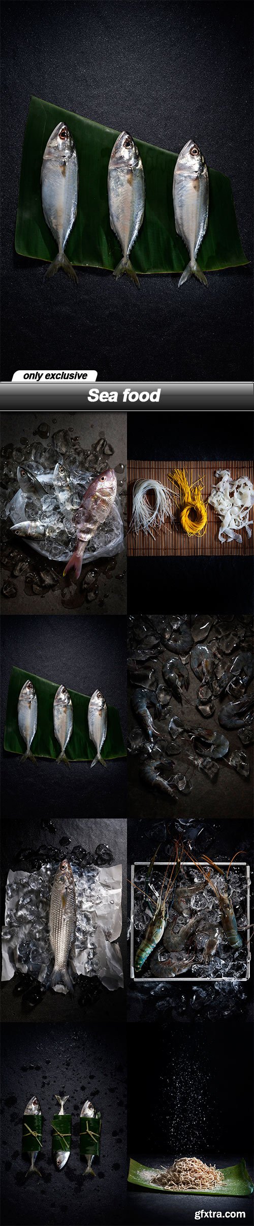 Sea food - 8 UHQ JPEG