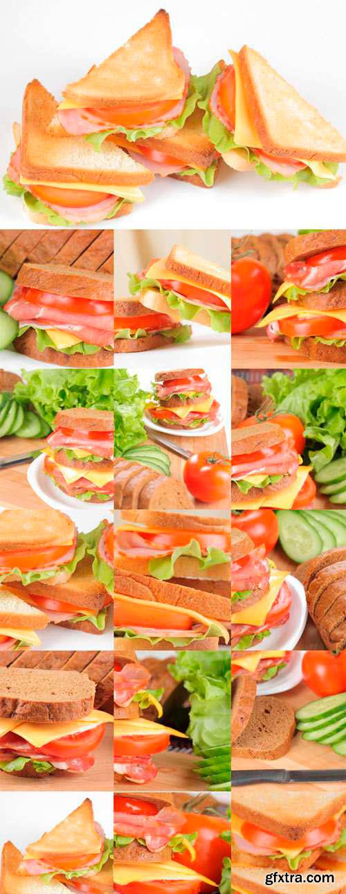 Appetizing sandwich with meat and vegetables