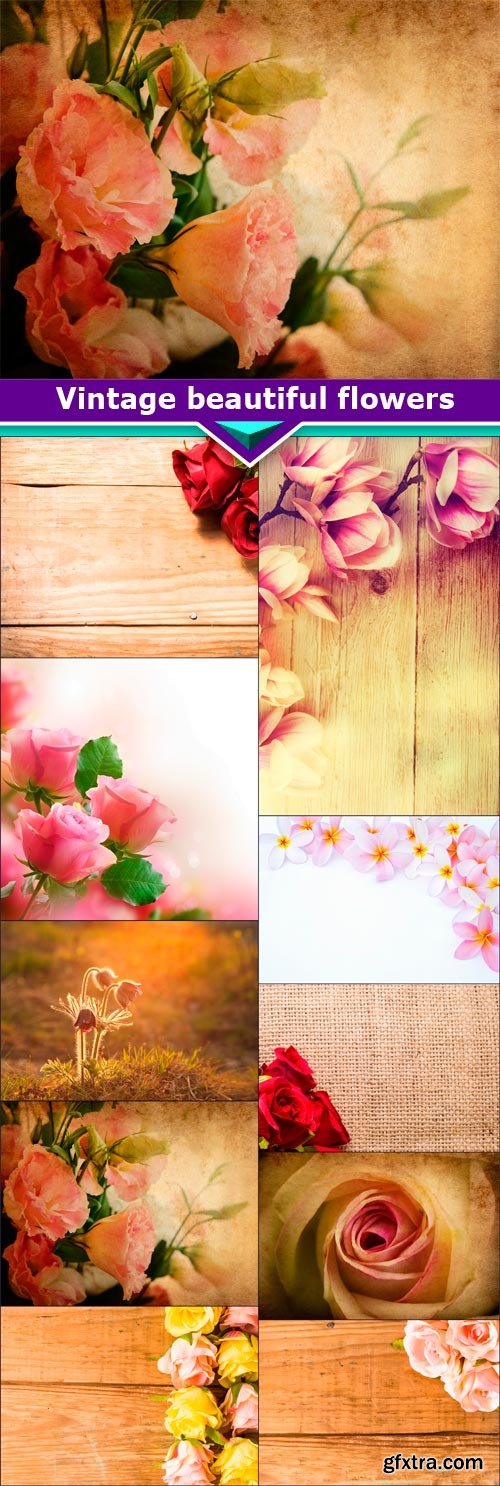 Vintage beautiful flowers 9x JPEG