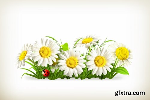 Collection of vector picture dandelion flower grass seed plant 25 Eps