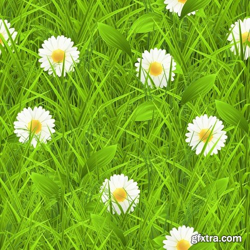 Collection of vector picture dandelion flower grass seed plant 25 Eps