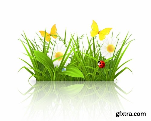 Collection of vector picture dandelion flower grass seed plant 25 Eps