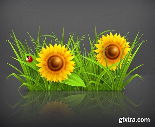 Collection of vector picture dandelion flower grass seed plant 25 Eps