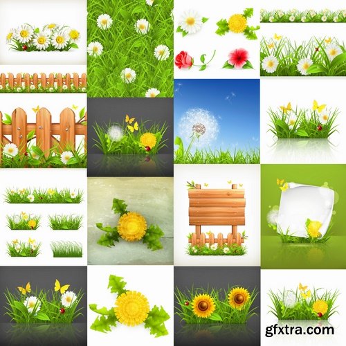 Collection of vector picture dandelion flower grass seed plant 25 Eps