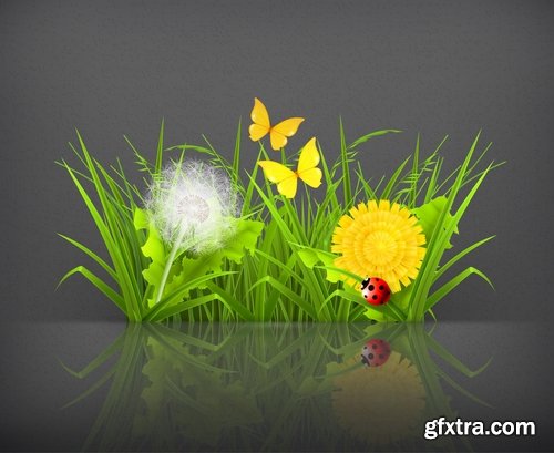 Collection of vector picture dandelion flower grass seed plant 25 Eps