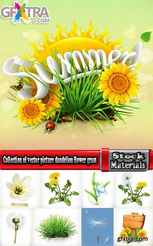 Collection of vector picture dandelion flower grass seed plant 25 Eps