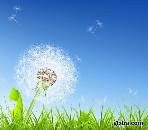 Collection of vector picture dandelion flower grass seed plant 25 Eps