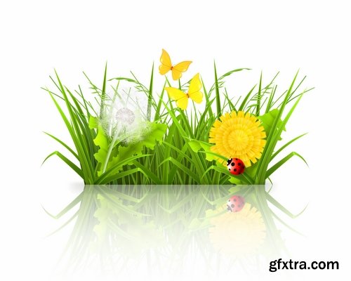 Collection of vector picture dandelion flower grass seed plant 25 Eps