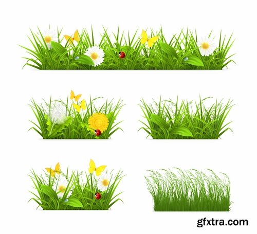 Collection of vector picture dandelion flower grass seed plant 25 Eps