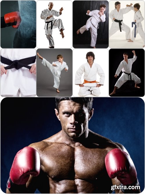 Stock Photos Sport Martial Arts Pack 9