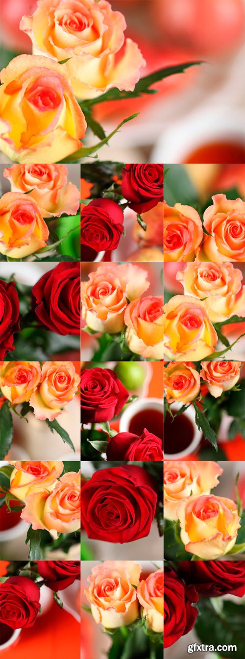 Elegant red and yellow roses Raster Graphics