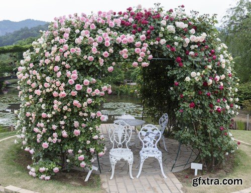 Flower arch