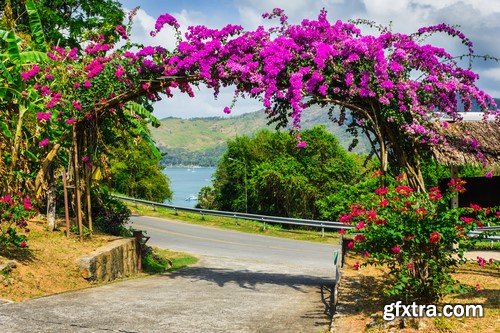 Flower arch