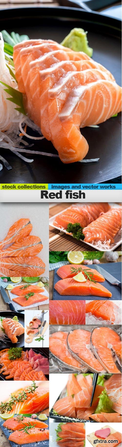 Red fish, 15 x UHQ JPEG