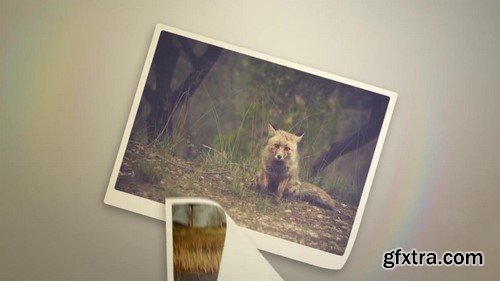 Motion Array - Photo Opener After Effects Template
