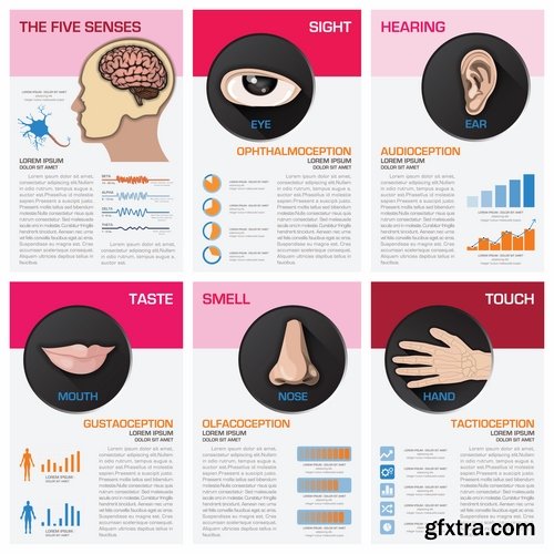 Collection of vector image conceptual business infographics medical #6-25 Eps