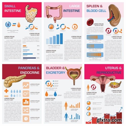 Collection of vector image conceptual business infographics medical #6-25 Eps