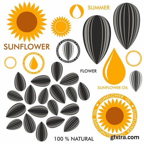 Collection of vector image sunflower oil sunflower bottles 25 Eps