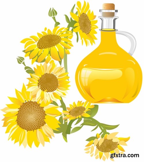 Collection of vector image sunflower oil sunflower bottles 25 Eps