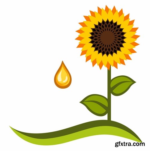 Collection of vector image sunflower oil sunflower bottles 25 Eps