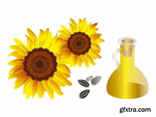 Collection of vector image sunflower oil sunflower bottles 25 Eps