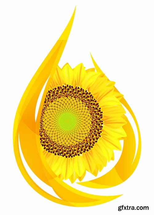 Collection of vector image sunflower oil sunflower bottles 25 Eps