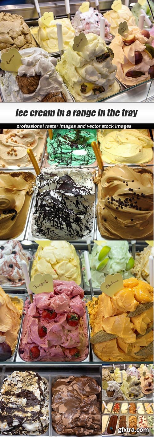 Ice cream in a range in the tray