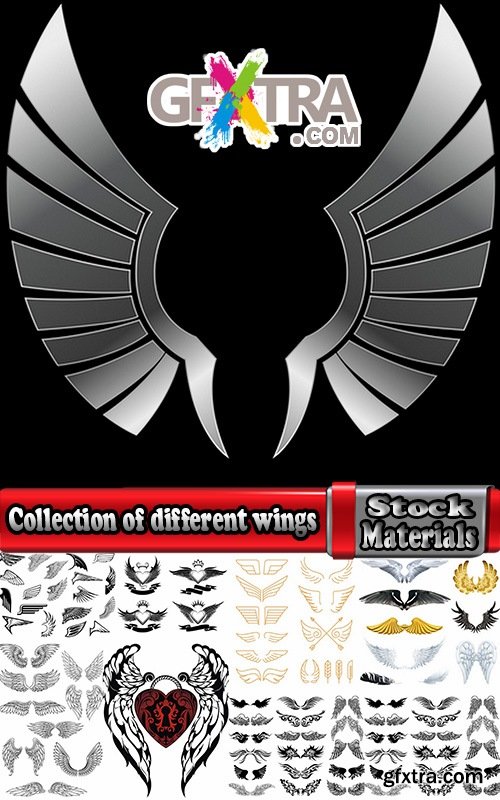 Collection of different wings silhouette pattern icon 25 EPS