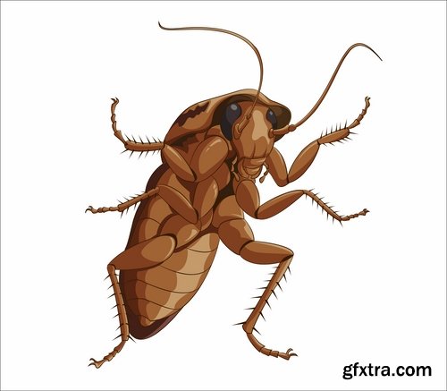 Collection of cartoon cockroach insect 25 EPS