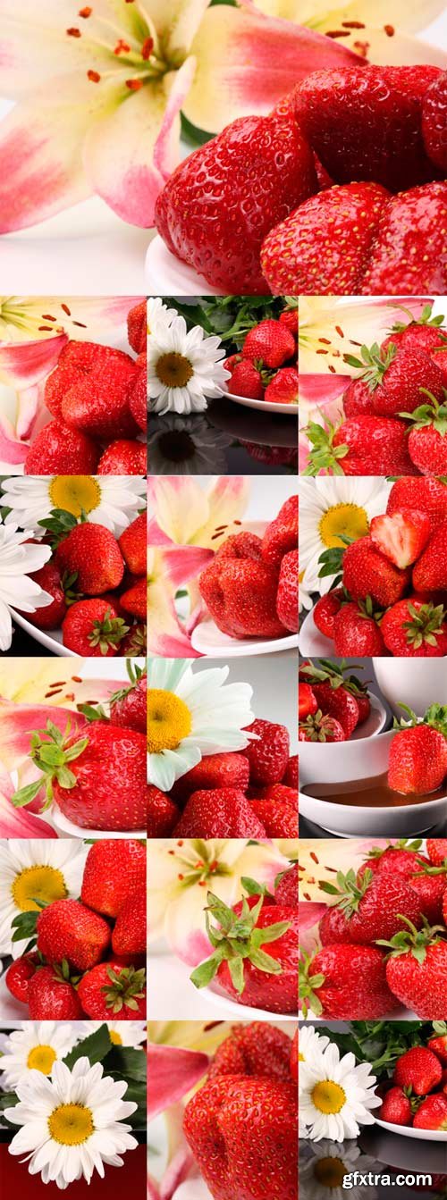 Juicy strawberry with daisies and lilies