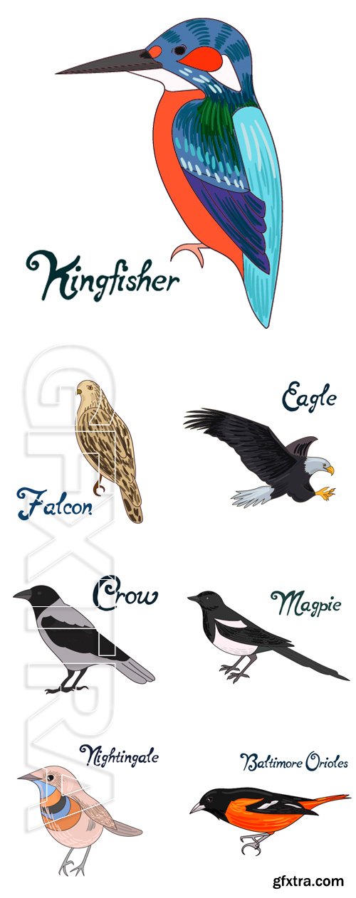 Stock Vectors - Bird vector illustration