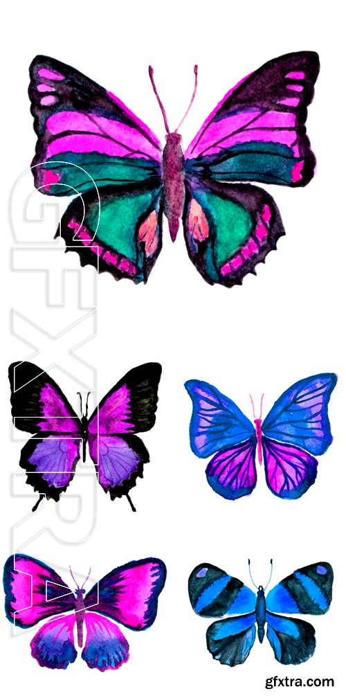 Stock Vectors - Watercolor hand drawn butterfly