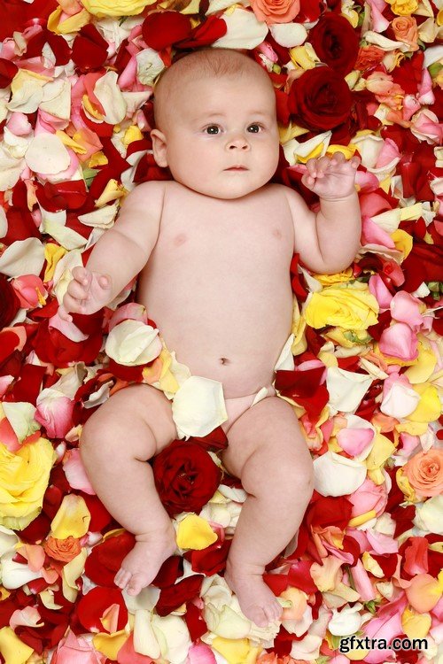 Baby on flowers