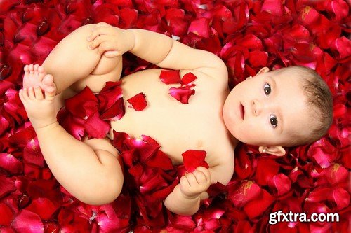 Baby on flowers