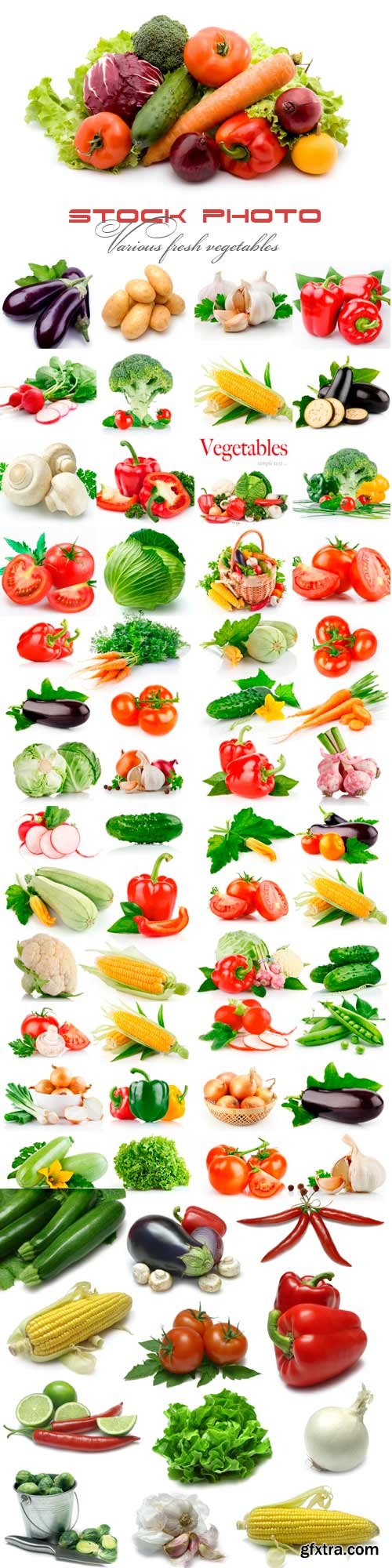 Various fresh vegetables