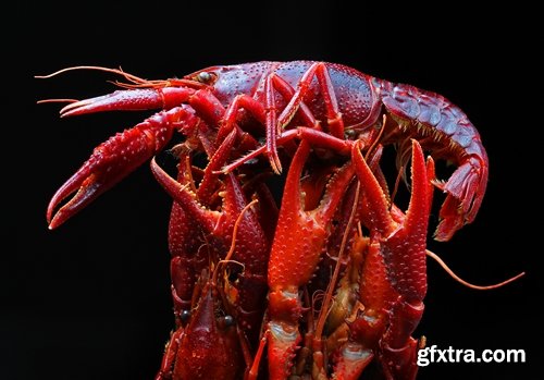 Collection of delicious seafood cooked king crab cancer 25 HQ Jpeg