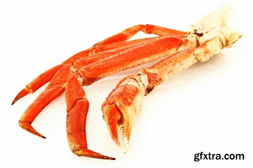 Collection of delicious seafood cooked king crab cancer 25 HQ Jpeg