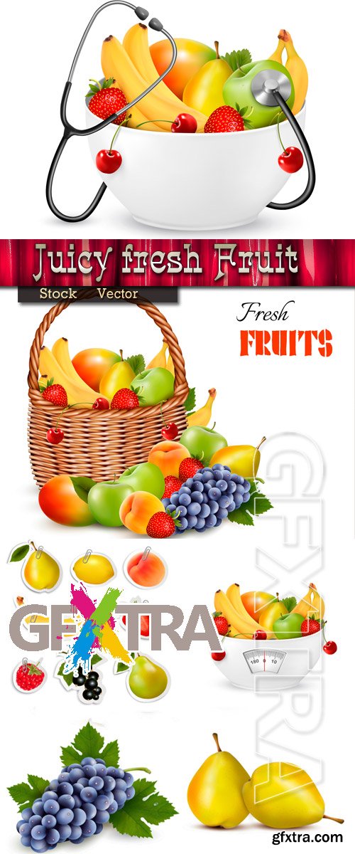 Juicy fresh fruit in Vector