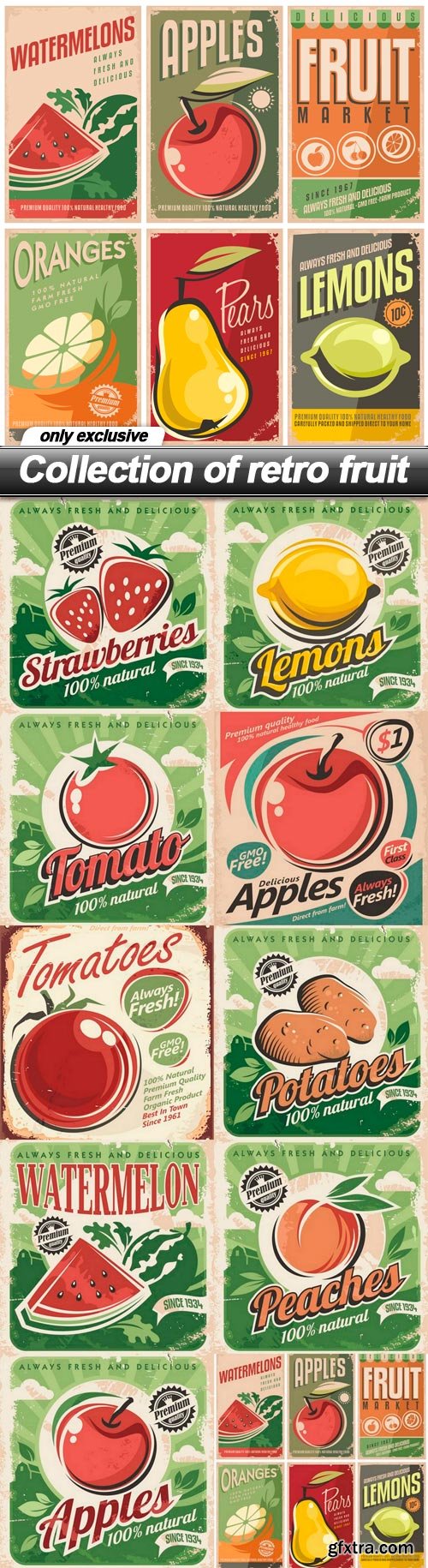 Collection of retro fruit - 10 EPS