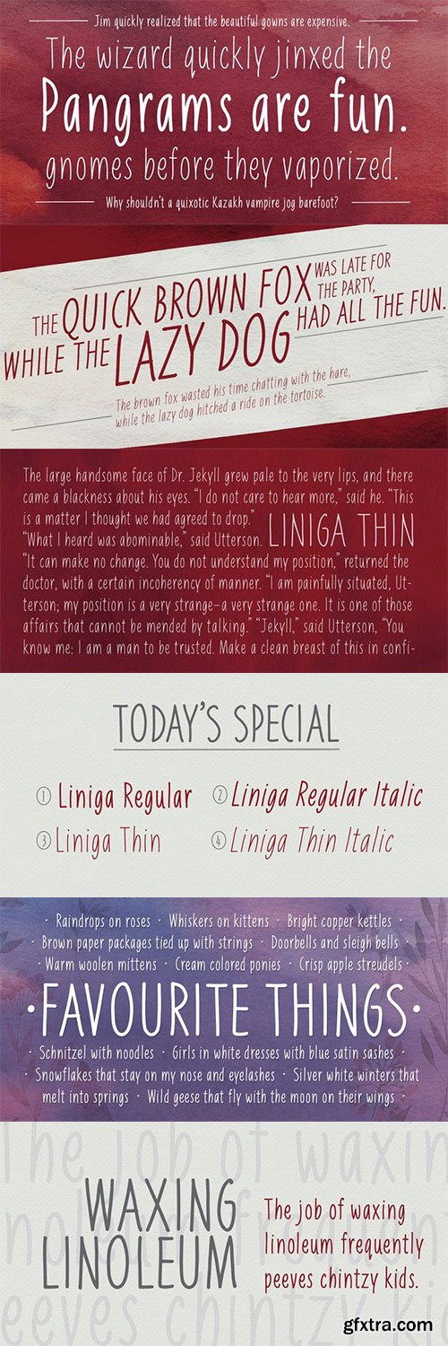 Liniga - Condensed Handwritten Display Typeface 4xOTF