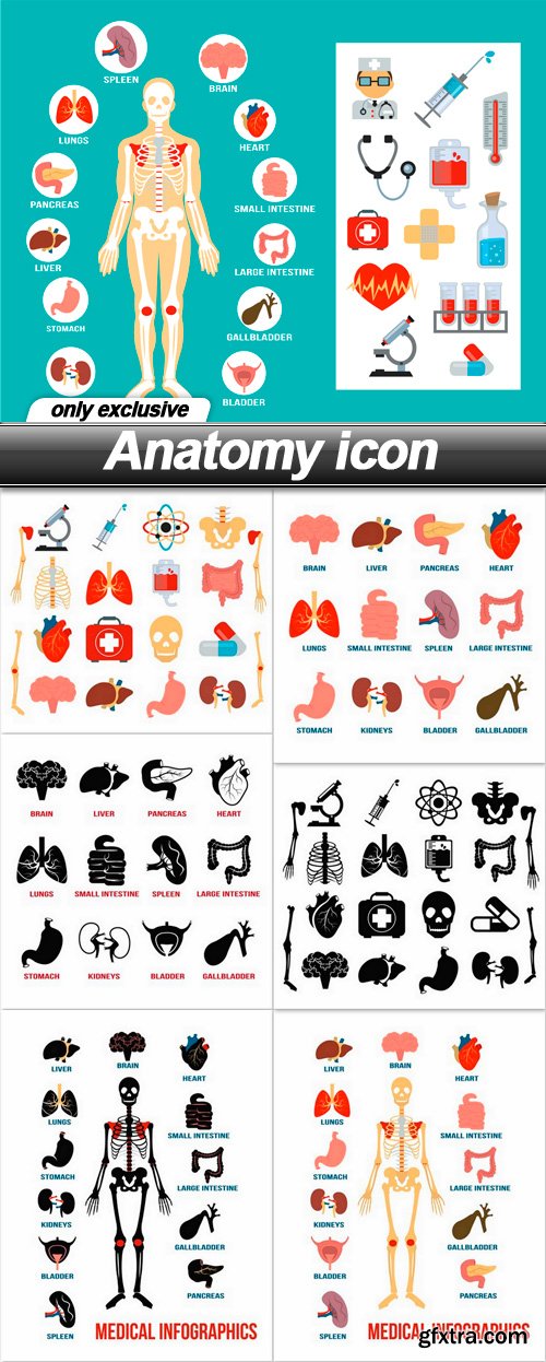 Anatomy icon - 7 EPS