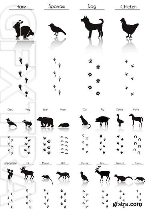 Stock Vectors - Set of Animal and Bird Trails with Name.Vector Set of Black Farm Animals and Birds Silhouettes