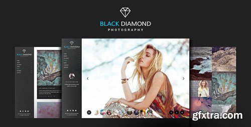 ThemeForest - DIAMOND v1.7 - Photography WordPress Theme - 9274644