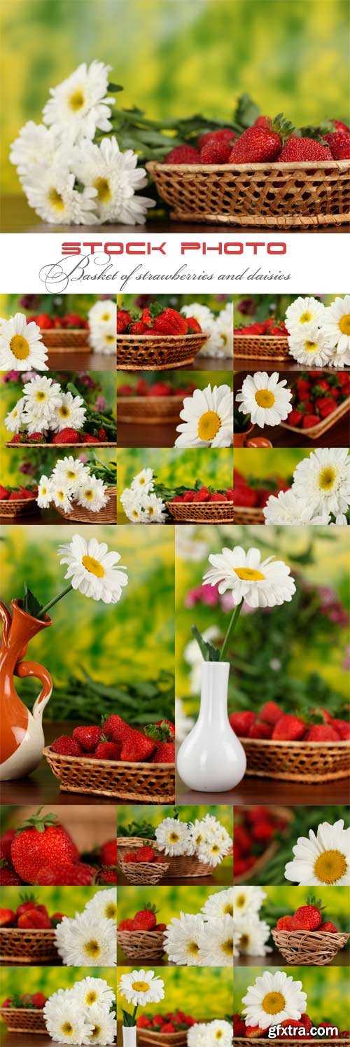 Basket of strawberries and daisies