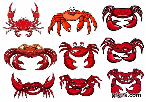 Collection of vector image cartoon crab sea dweller 25 EPS